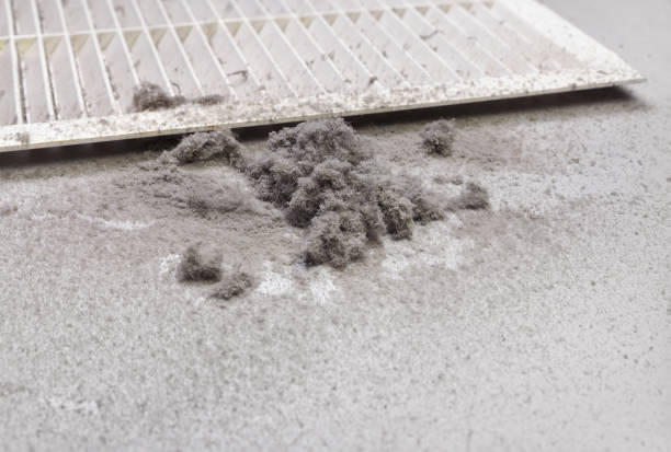 Best Professional Duct Cleaning Services  in St Andrews, SC