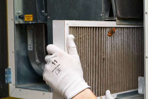 Best Affordable Air Duct Cleaning  in St Andrews, SC