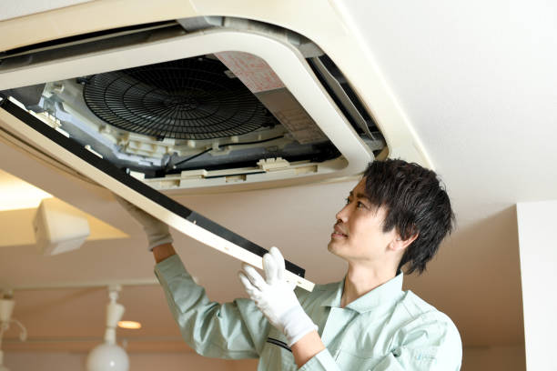 Best Air Duct Mold Removal  in St Andrews, SC