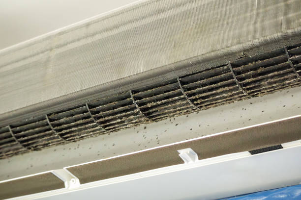 Best HVAC System Cleaning  in St Andrews, SC